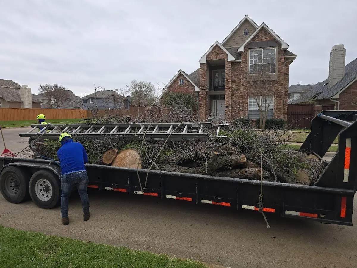 Expert Tree Removal with proper safety equipment in Gaithersburg